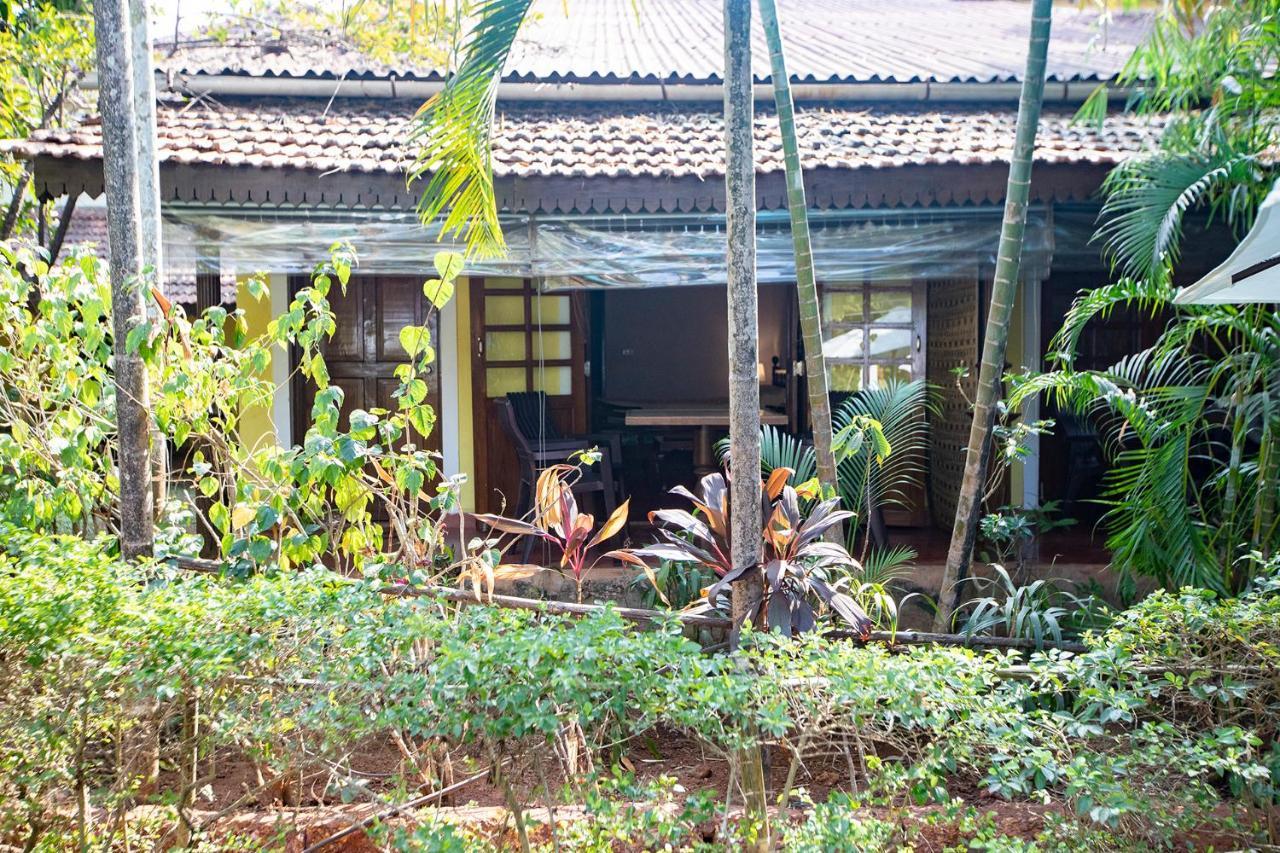 Presa Di Goa - Smith And Appy Managed Hotel Calangute Exterior photo